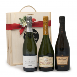 Tastets Especialitat Celler 21
