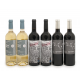 Especialitat Celler Tastets R