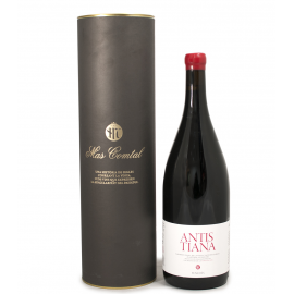 Detall Antistiana Cabernet Franc Magnum